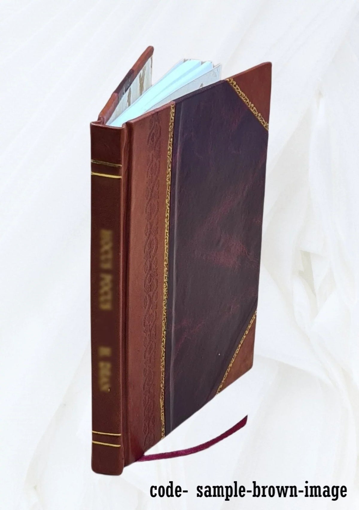 Loch Lomond, Loch Katrine and the Trossachs 2022 [Leather Bound]
