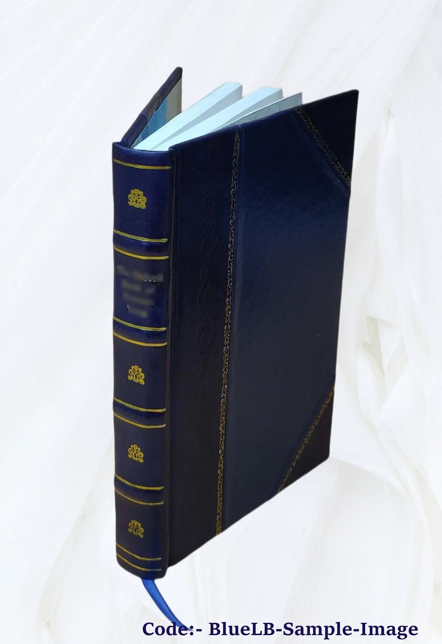 Eldridge's coast pilot, no. 1 eastern section from Chatham to St. John, N.B. / compiled by George Eldridge. 1880 [Leather Bound]