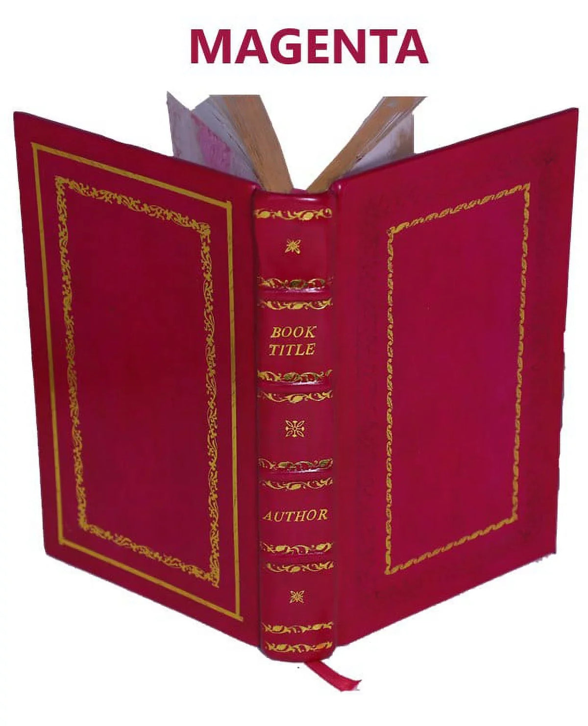 Topografia univerpromotion della cittA di Napoli in Campagna Felice e note enciclopediche storiografiche di Niccolo Carletti ... 1776 [Premium Leather Bound]