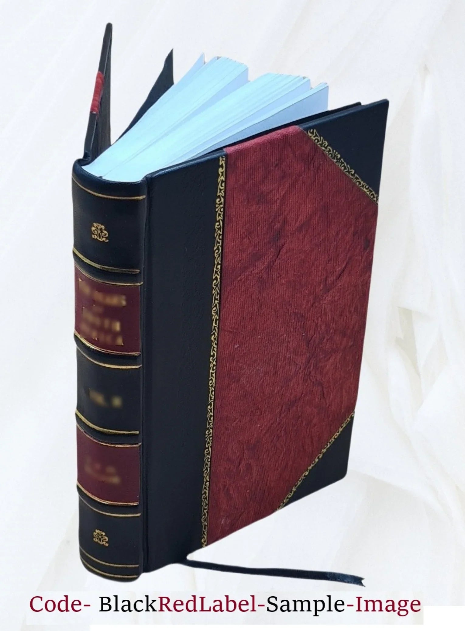 Studies of the effects of systematic variations of certain conditions reLatitudeed to learning. I. Conditions of reinforcement, June 1, 1958-September 30, 1959. Kathryn A. Blake, projec