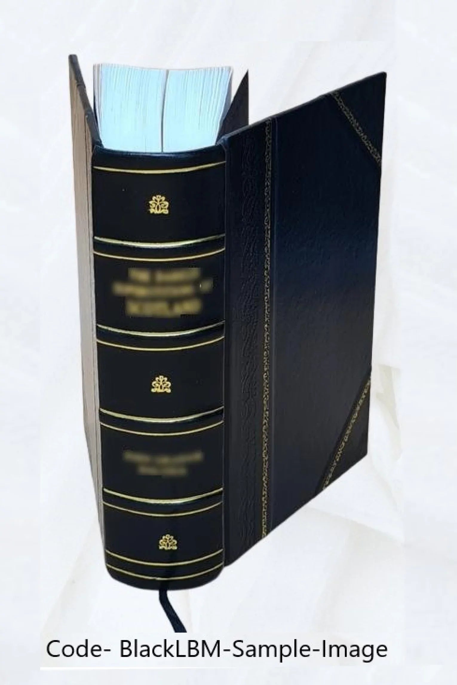 James Bridger, trapper, frontiersman, scout and guide; a historical narrative ... 1925 [Leather Bound]